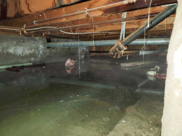Water damage restoration insurance claims in Village Of Oak Creek, AZ