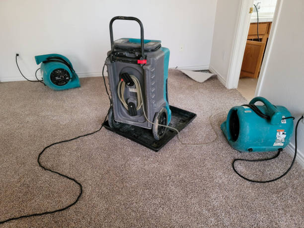 Best Sewage cleanup and water damage restoration  in Village Of Oak Creek, AZ