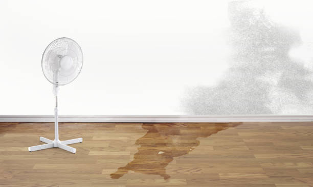 Best Fire Damage Restoration  in Village Of Oak Creek, AZ