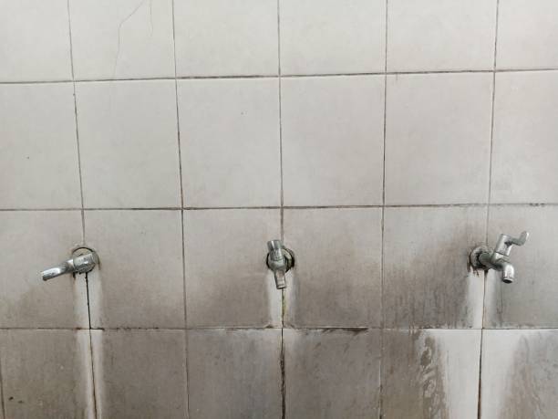 Best Water damage restoration near me  in Village Of Oak Creek, AZ