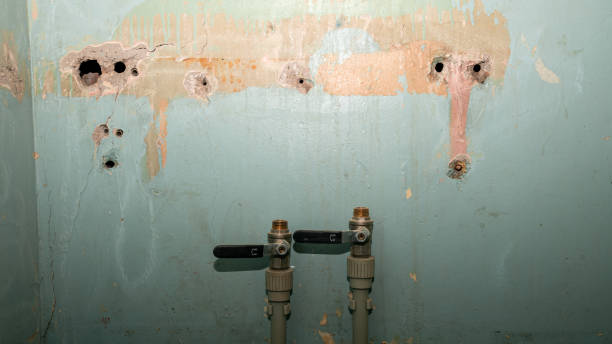 Best Water damage contractors near me  in Village Of Oak Creek, AZ